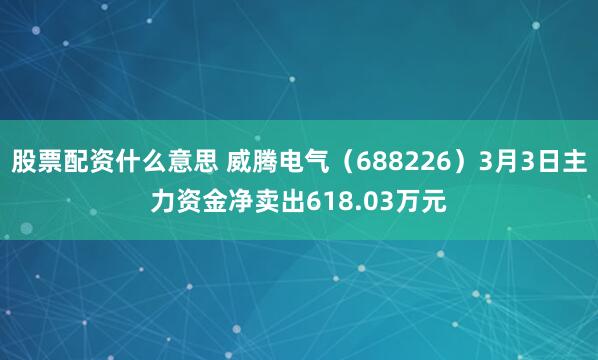 股票配资什么意思 威腾电气（688226）3月3日主力资金净卖出618.03万元