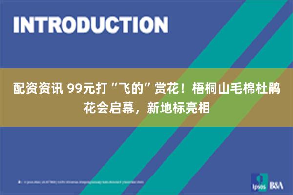 配资资讯 99元打“飞的”赏花！梧桐山毛棉杜鹃花会启幕，新地标亮相