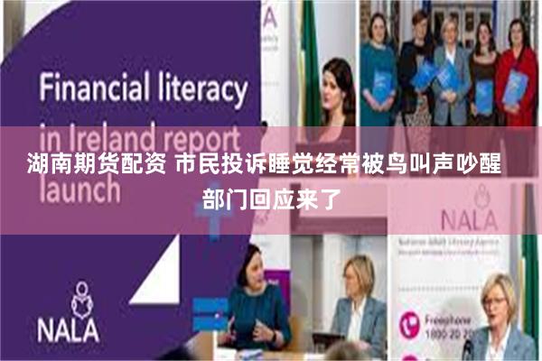 湖南期货配资 市民投诉睡觉经常被鸟叫声吵醒  部门回应来了