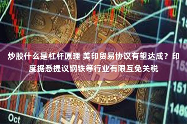 炒股什么是杠杆原理 美印贸易协议有望达成？印度据悉提议钢铁等行业有限互免关税