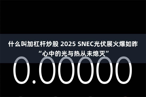 什么叫加杠杆炒股 2025 SNEC光伏展火爆如昨“心中的光与热从未熄灭”
