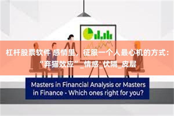 杠杆股票软件 感情里，征服一个人最心机的方式：“弃猫效应”_情感_伏隔_皮层