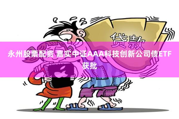 永州股票配资 嘉实中证AAA科技创新公司债ETF获批